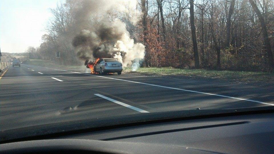 What one can see on the turnpike on the way into work!