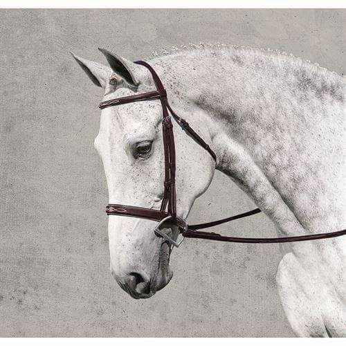 This Horse face portrays Beauty and Wisdom to me.