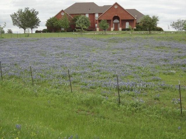 Jackie Garner's album, Timeline Photos