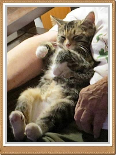 Bruce MOTT's album, Timeline Photos