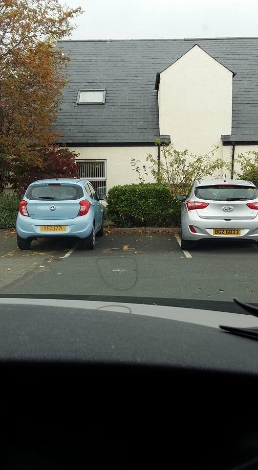 Really nice bit of parking by NHS staff over a Disabled parking bay at an Outpatient department. Parked the car then grabbed her bag and sarnies and went into the surgery with her pass fluttering in the wind. Well done that