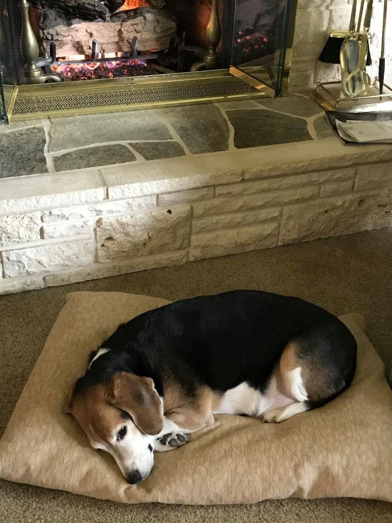 William Garber's album, Timeline Photos