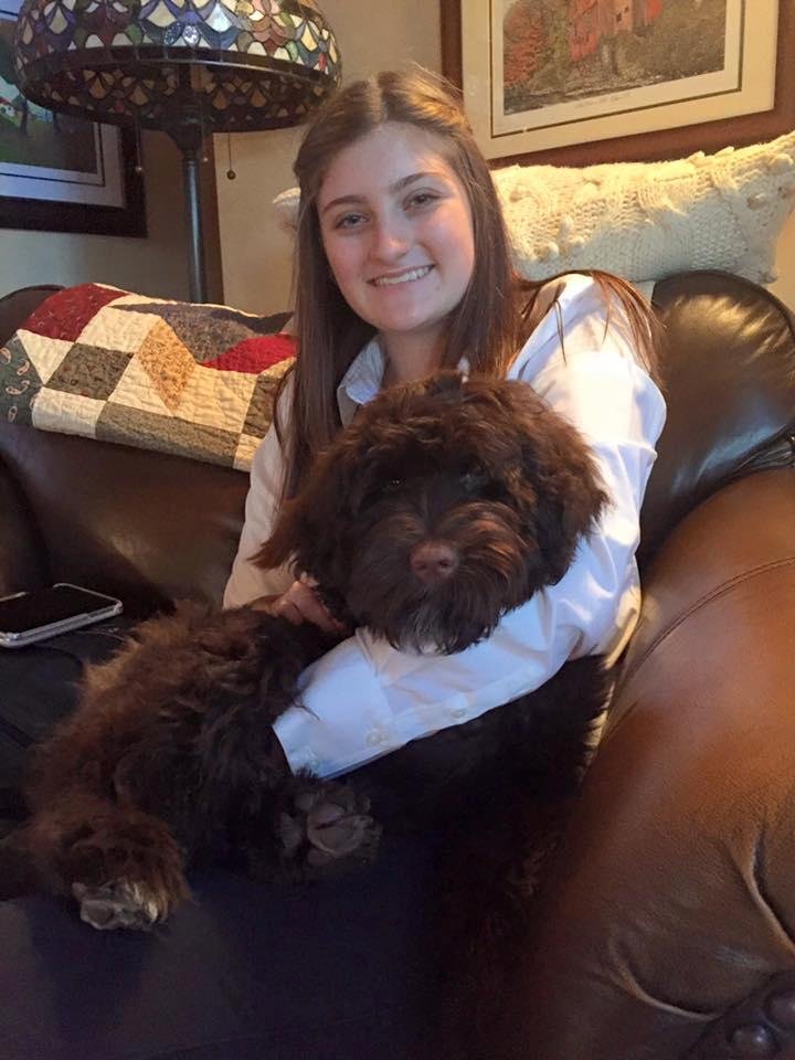 I was nominated by DorindaJensen to post a picture of my dog every day for 5 days. Here is Day #1... Jenna cuddling with Nikki, resident lap dog, after work.
I nominate Sonja Elliott to do the same for the next 5 days wi