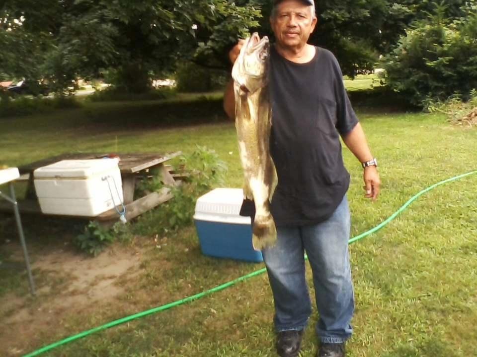 tonys fish ohio walleye from last week.