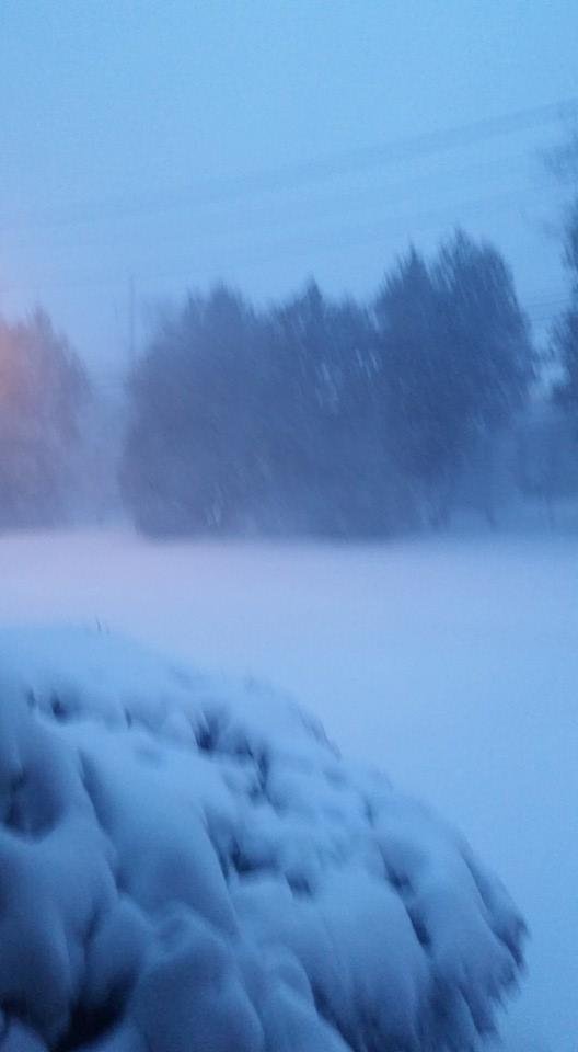 NY first snow storm.