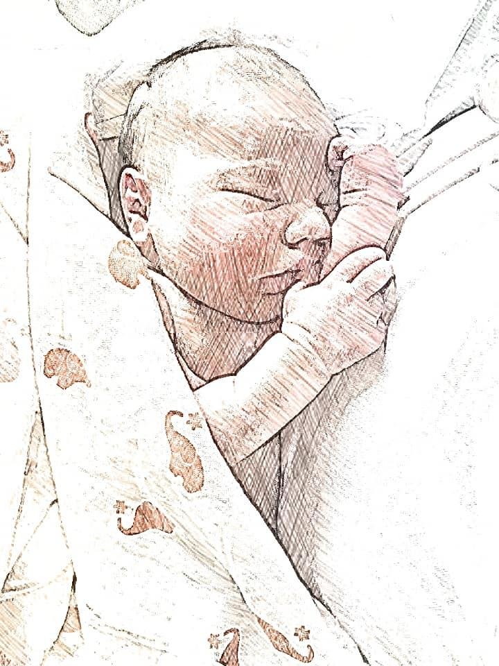 Nancy Arnold's album, Mobile Uploads