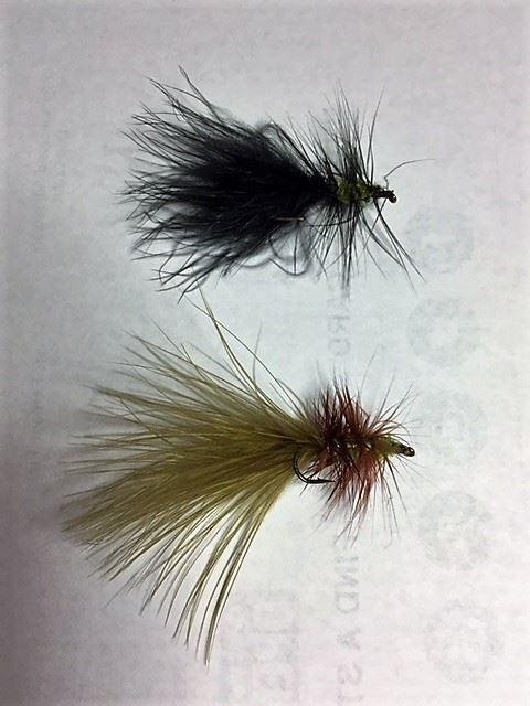 attended the free Orvis fly-tying 101 class today and learned how to tie these yummy wooly buggers!