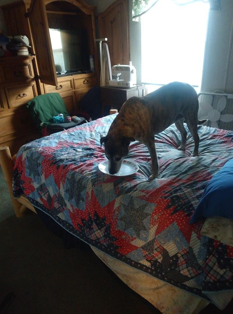 Go to town leave her home pouts up so mama has feed her in her room