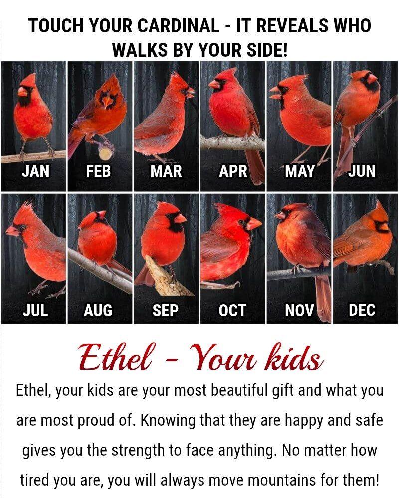 Ethel Barlow's album, Timeline photos