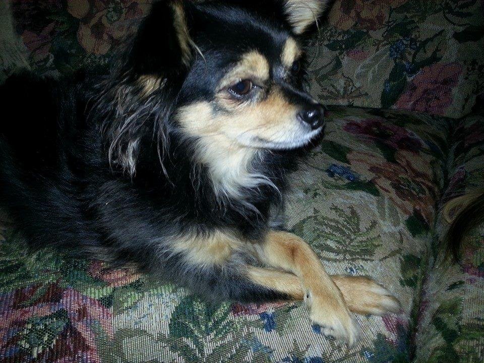 Joann Vaisman's album, Mobile Uploads
