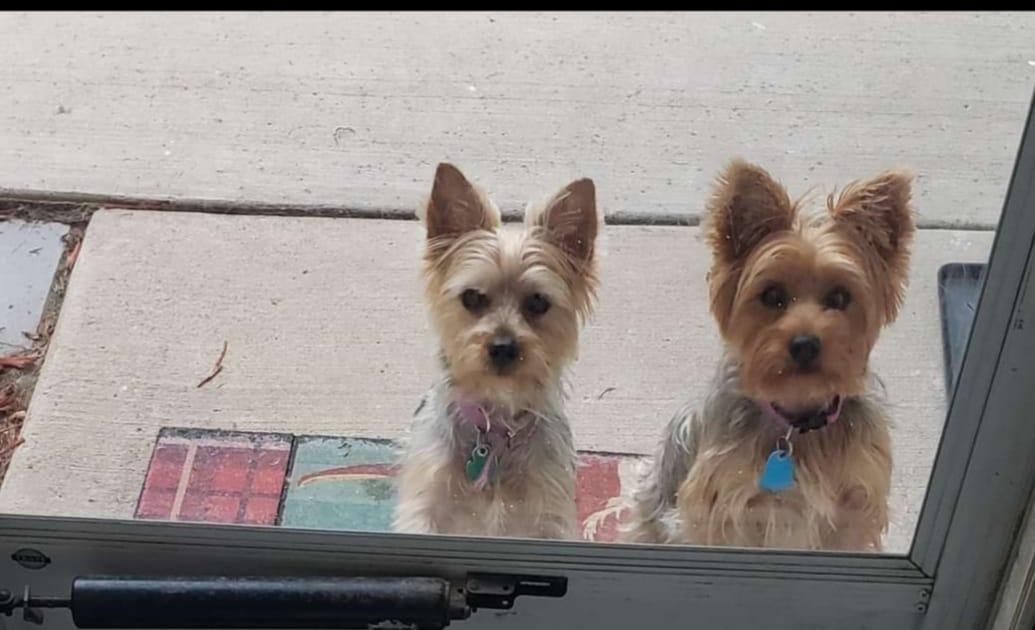 My babies❤❤
