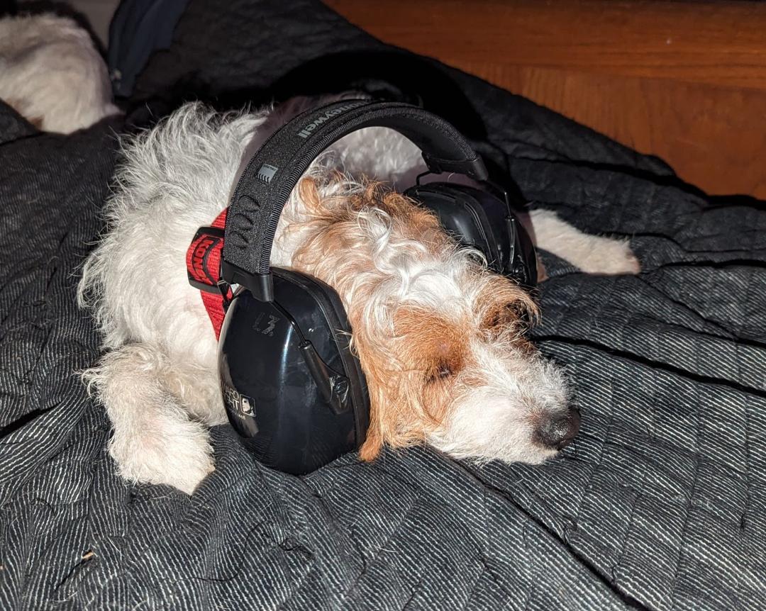 Bentley trying to rock himself awake. I believe he is listening to "Physical Graffiti". Led Zeppelin at 7:00am should lend to a wired morning for our home...
Fortunately, he really likes his headphones, especially if he's
