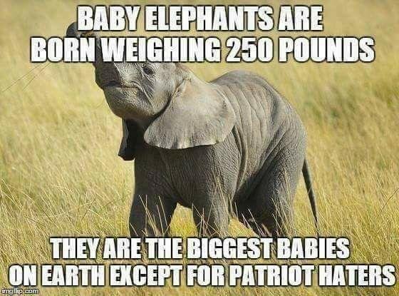 Worth Sharing