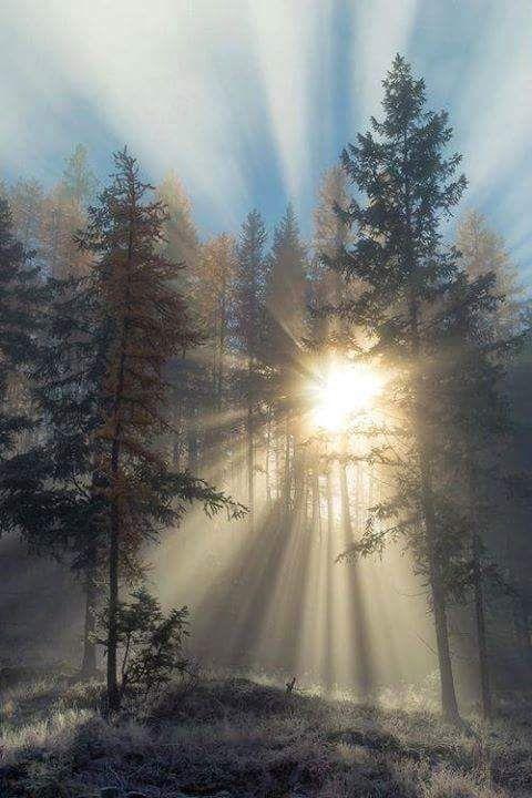 Can you imagine what it will be like when Jesus returns...Beauty beyond compare... 🎶 💐 🙏 🕊️ 👑 🎚️ 💞