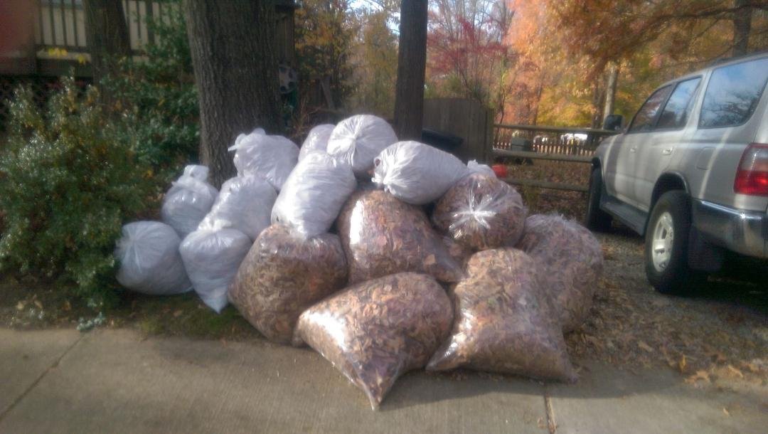 Bags of leaves!