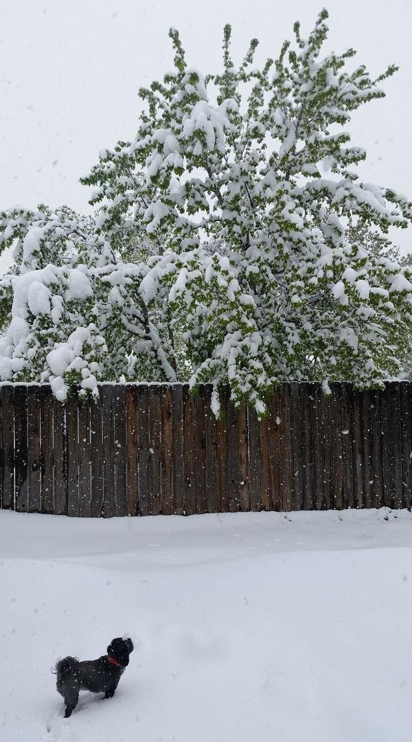 Well Wyoming is giving us great goodbye before we move to Florida Monday!