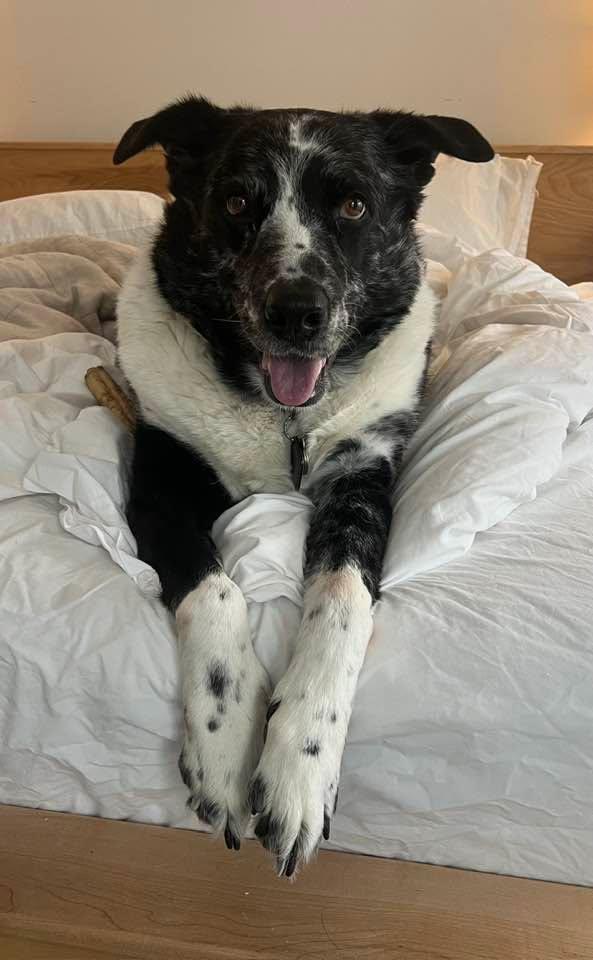 Happy 10th Birthday to my best buddy Mike!!
Love you pal… go eat some snow!!