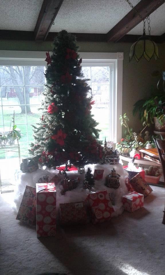 Just waiting for lilly and brendan to come visit gramma for Christmas