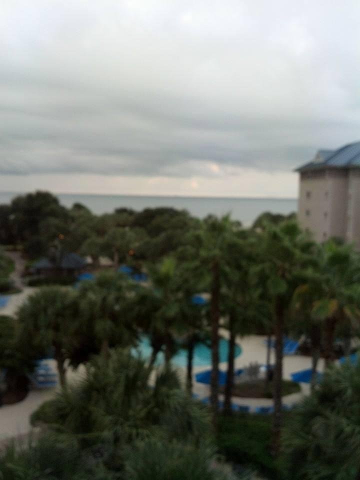 My morning view!