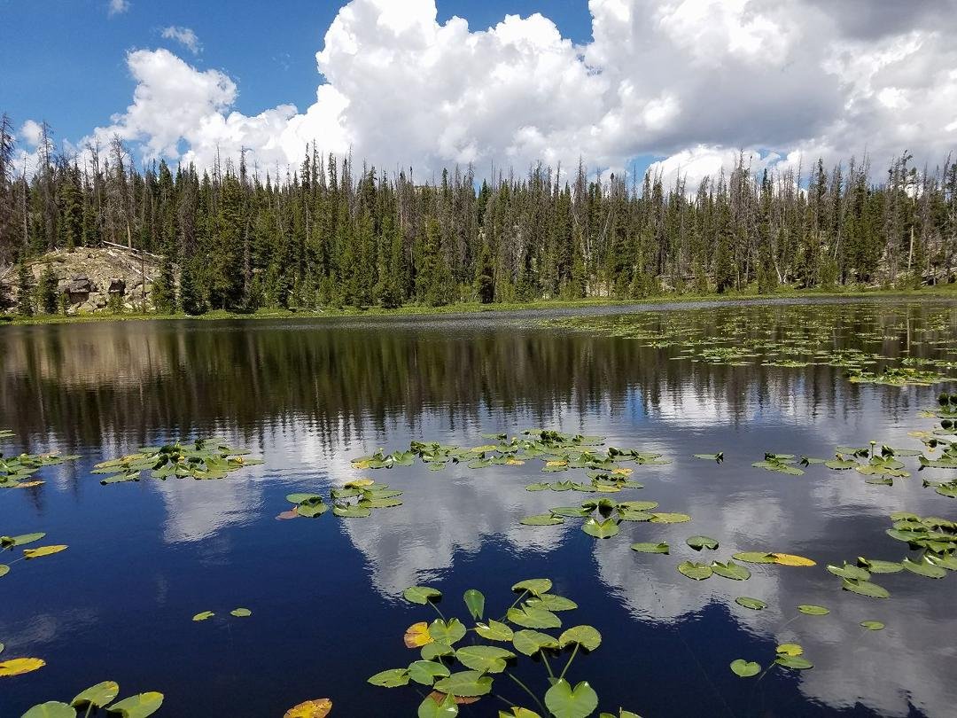 Small lake I hiked to yesterday, very secluded off mirror lake highway
