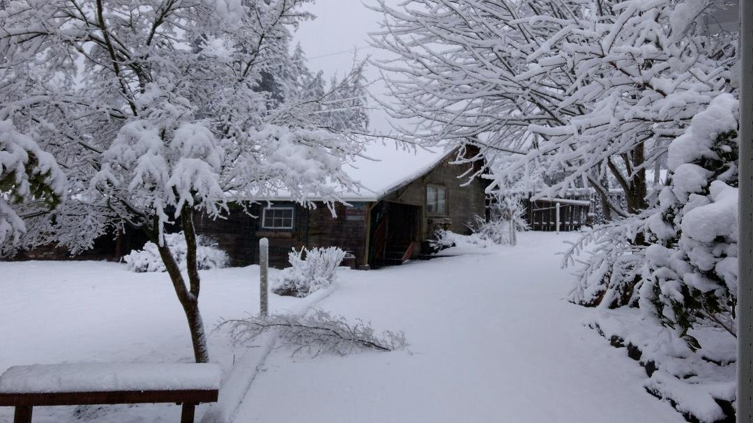 it's still snowing