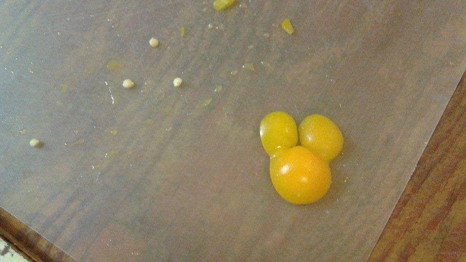 My bell pepper mickey