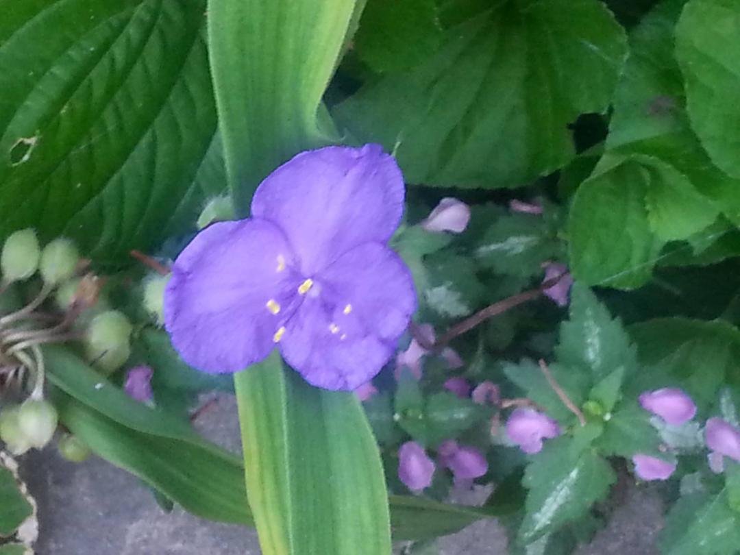 Susan Mallatratt's album, Timeline Photos
