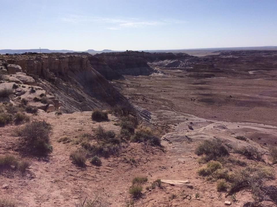 After we stood on the corner in Winslow AZ (with a LOT of other people!), we went on to the Petrified Forest and Painted Desert parks. The plan was to just "drive through," as we had visited a year and a half ago. Ha, who