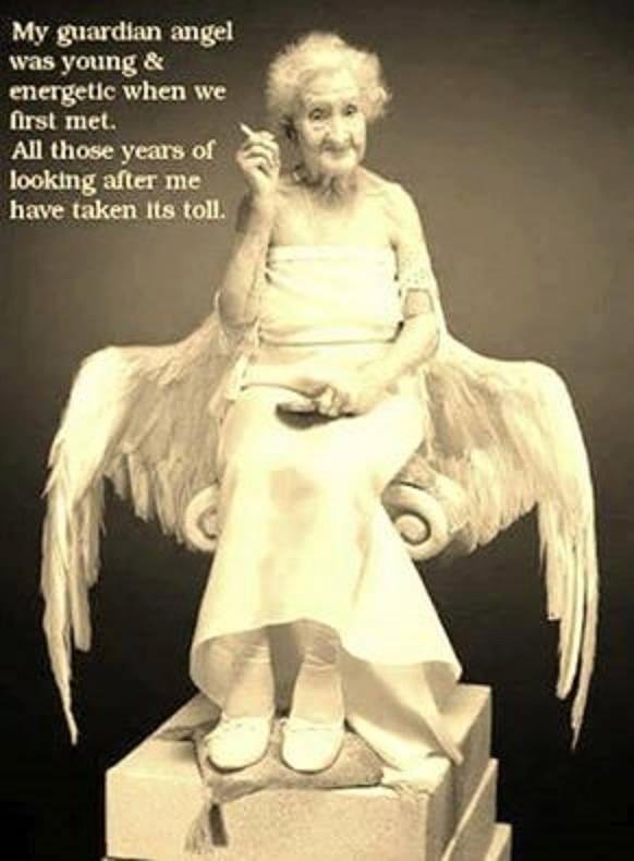 Robert Pollard's album, Timeline Photos