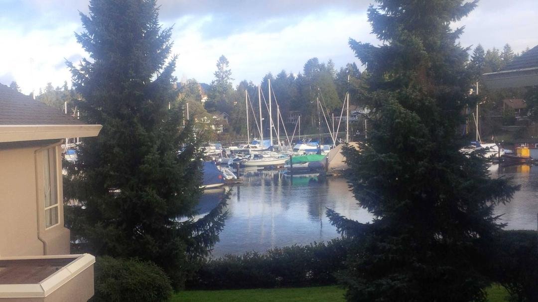 A normal winter morning (Dec. 27th) in Brentwood Bay, B.C.