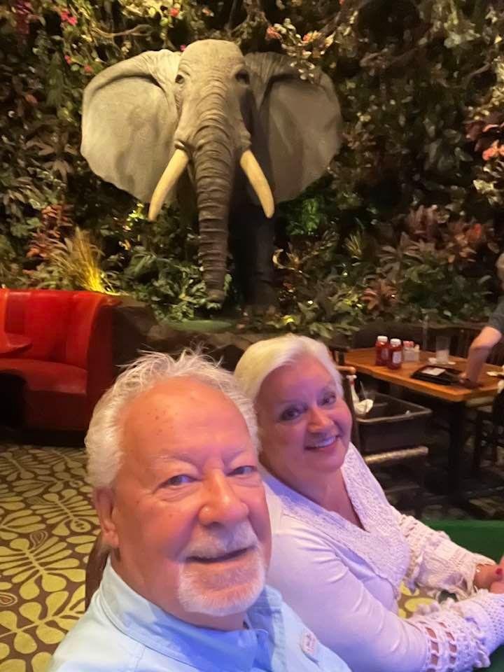Having Dinner At The Jungle