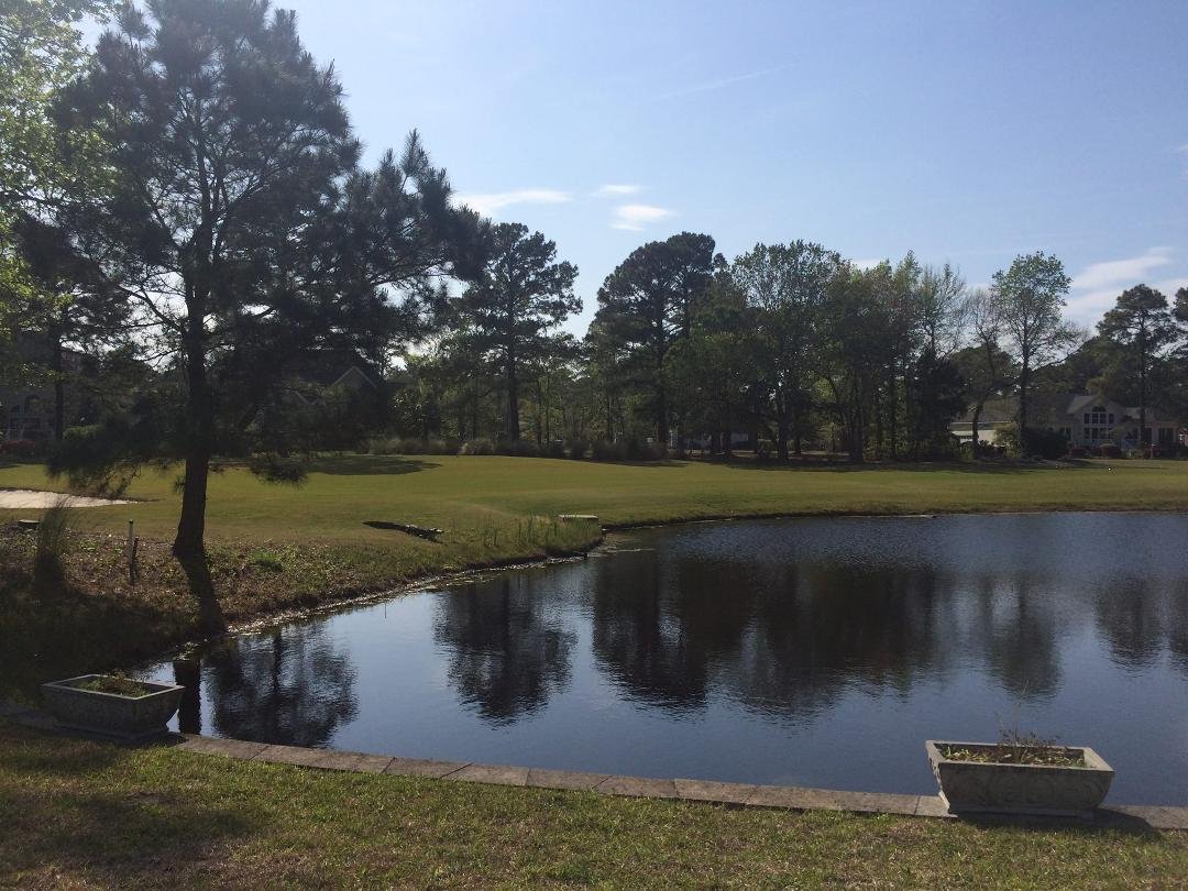 The gator came to visit my pond today.