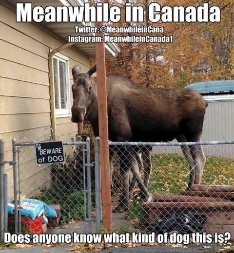David-John Boswell's album, Timeline Photos