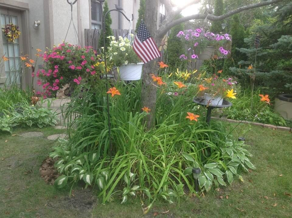 All the beautiful flowers are now gone. Spring Summer 2017