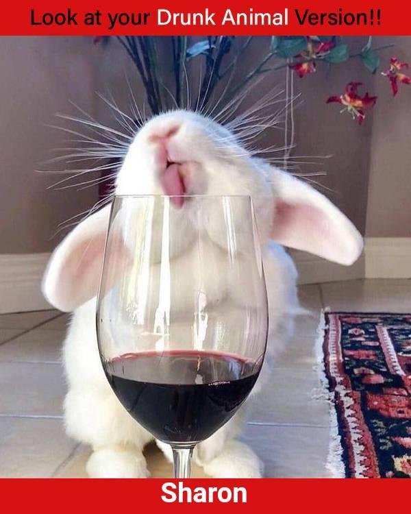 Sharon Johnson's album, Timeline Photos