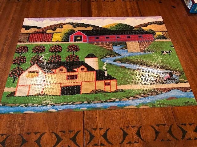 Here is the very hard puzzle we finally finished. If you look close you can see that every piece except the edge pieces are the same basic shape. We got down to 30 pieces and it still took the two of us almost 20 minutes to