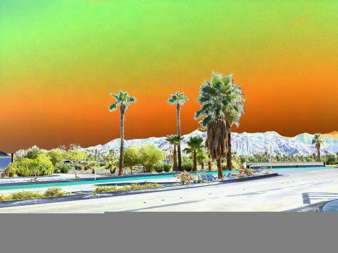 Barney Rogoff's album, my photography