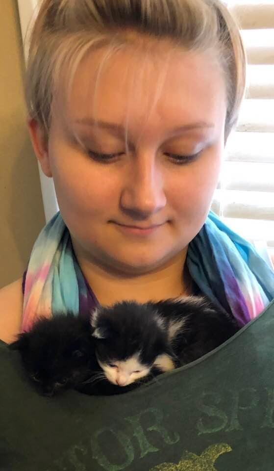 Kendall is a good mommy to tiny kittens!