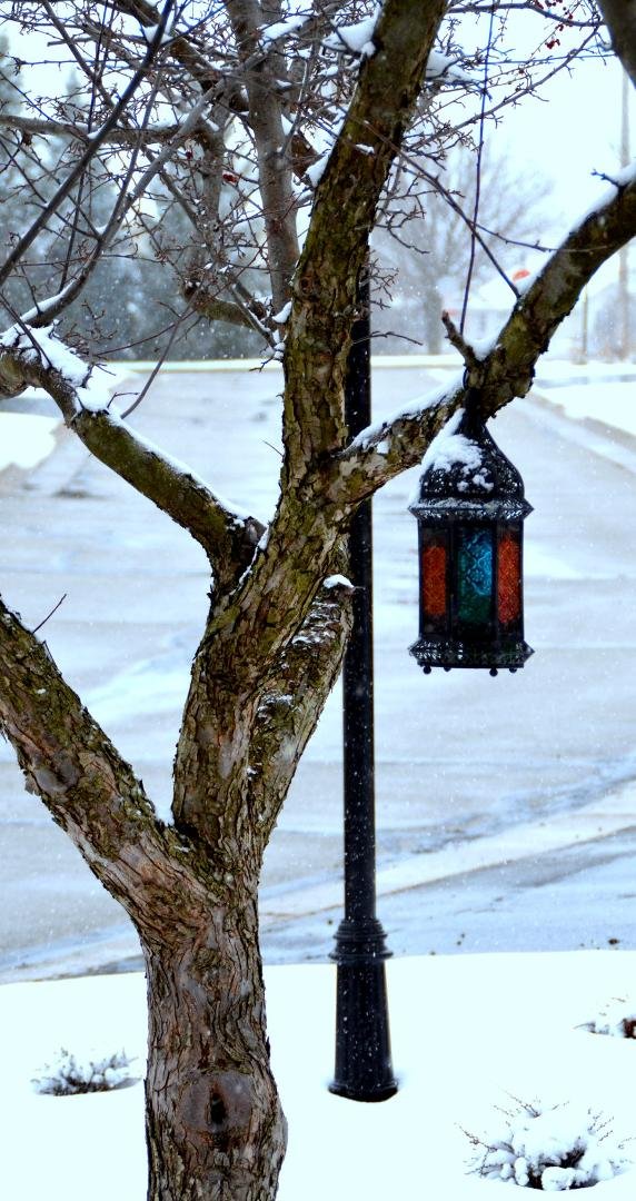 April Snow,