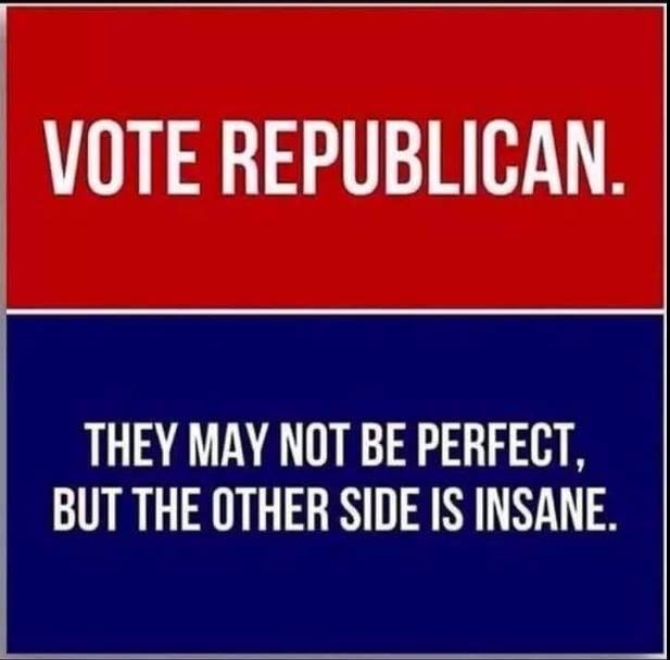 If ya vote blue you must be INSANE too