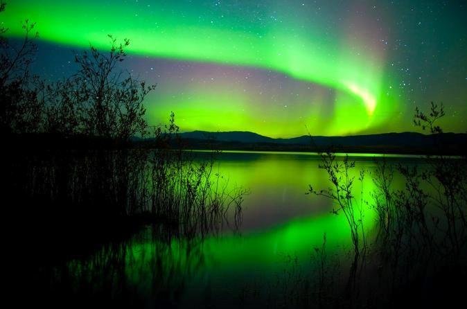 This is what the Northern Lights looks like up in Edmonton, Canada. I got out of the car that night, got scared, and hid under the dashboard of an old 1946 De Soto. Paulie, however, wasn't scared at all and stayed outside l