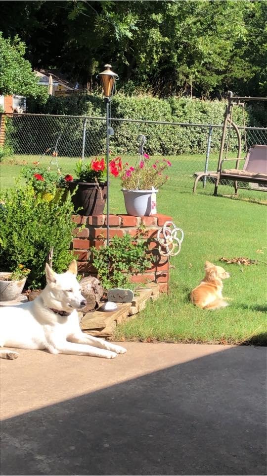 They are enjoying it too.