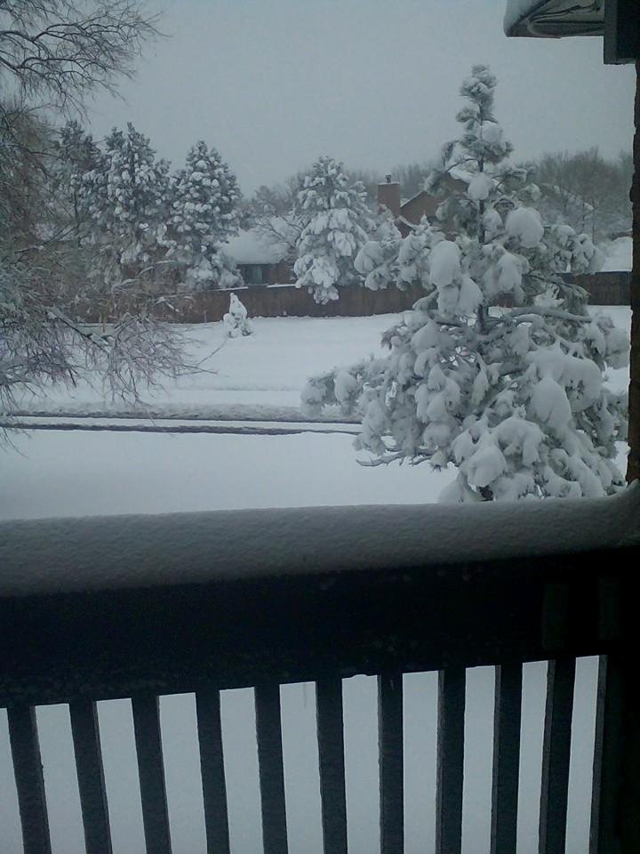 4 o'clock and still snowing. About 12 inches of snow so far.