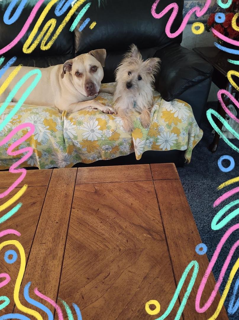 Happy 1st Birthday to Lil Louie Pawton. I know you're enjoying your vacation. Posing with his bestie.