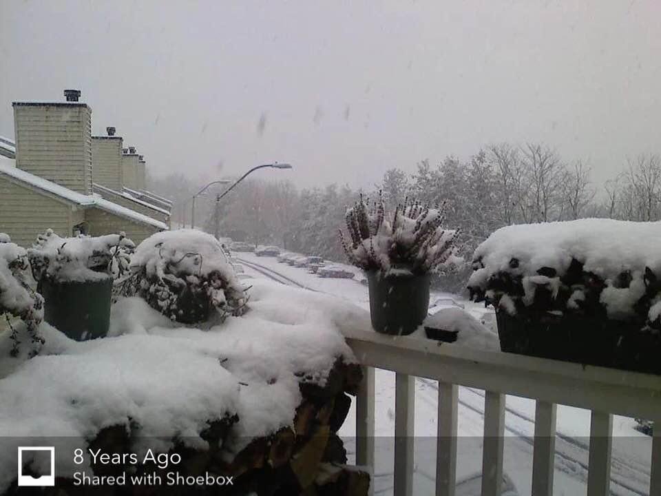 Snow in Asheville?