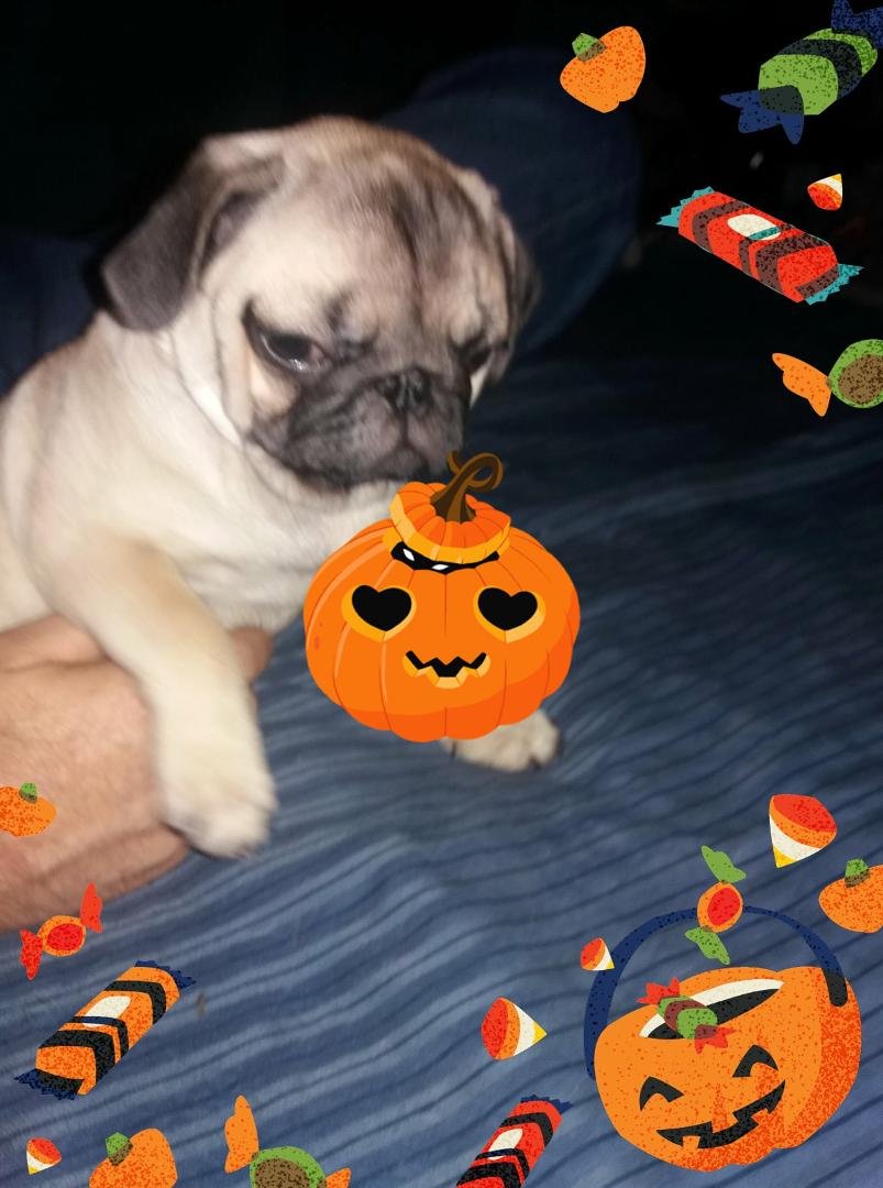 Baby nikki
