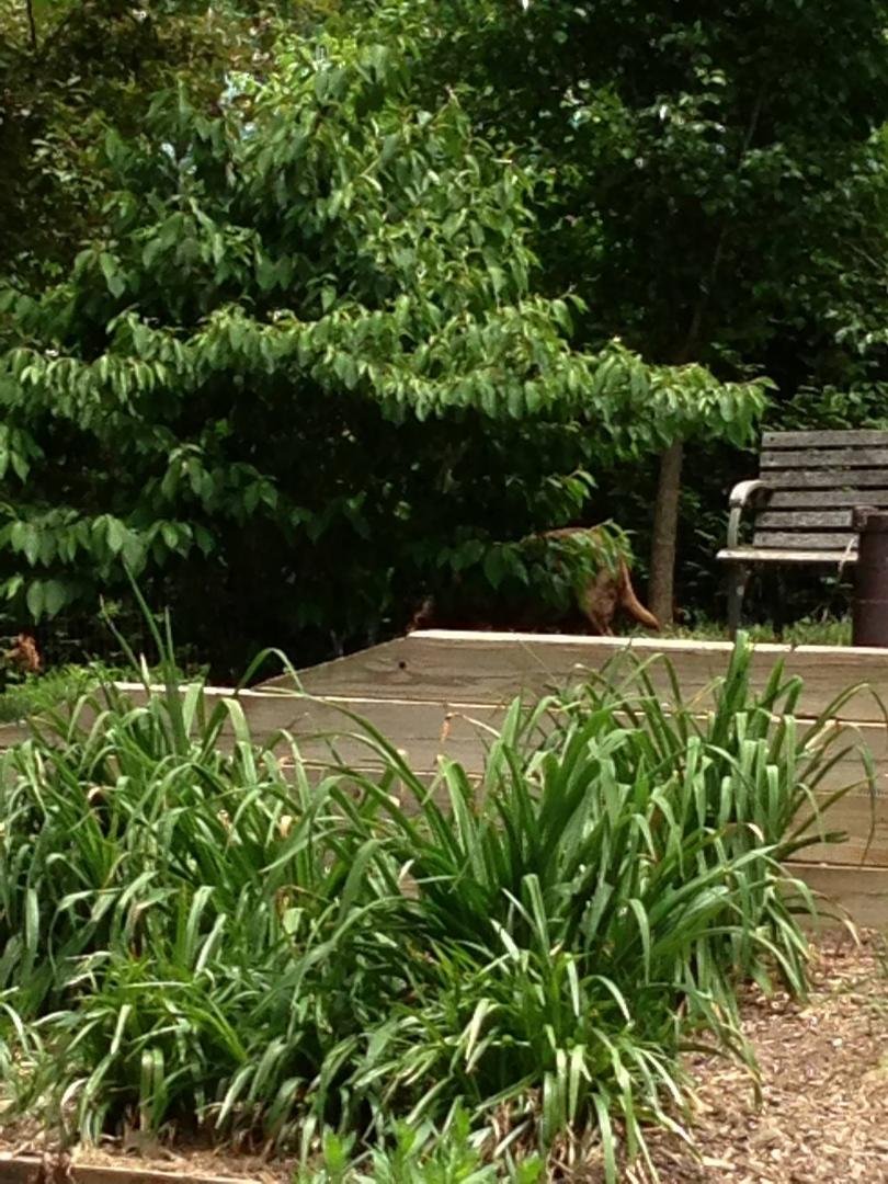 2nd day of nature picture challenge from Mary Eve Bramante-Cain