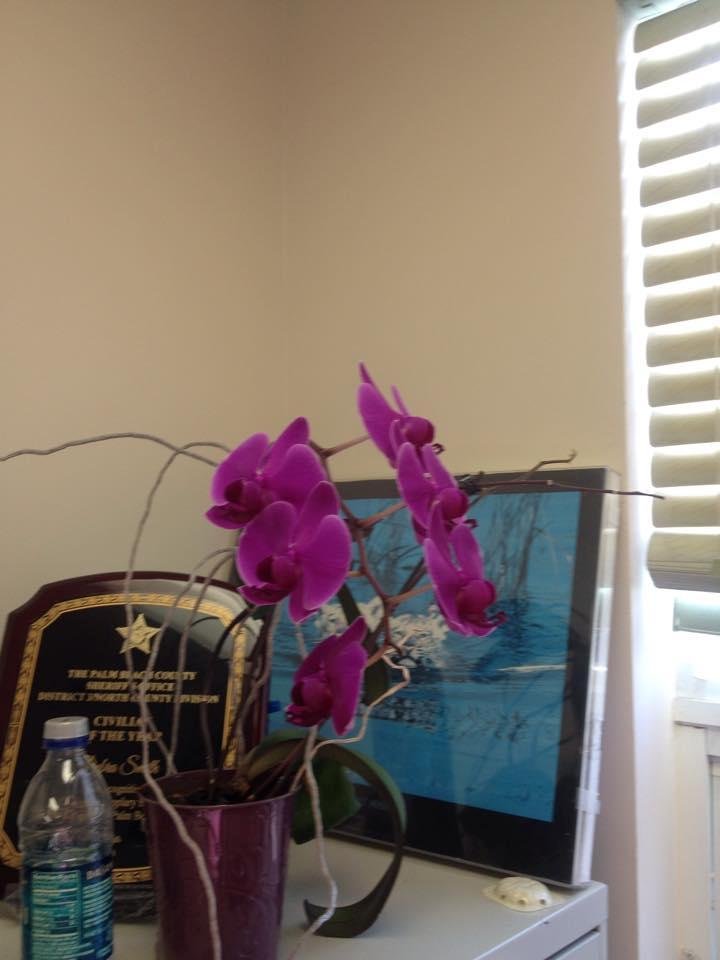 Kelly Collins,
This is the orchid you gave me years ago