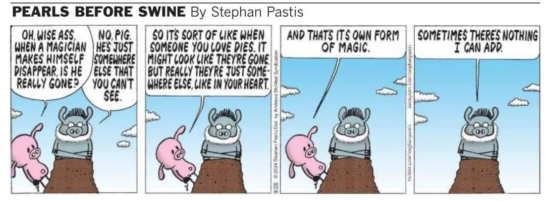 Ya just gotta love Pig! ❤️