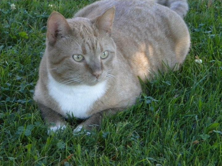 Marti's favorite place is in the grass.